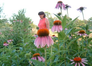 Penny Frazier, founder of PineNut.com and Goods from the Woods midst the medicinal echinacea flowers on her wild crops farm